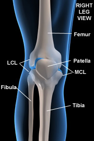 Sports massage therapy and injury rehab for knee joint, patella tendon or cap pain and injuries caused to the knee for athletes:  MCL, LCL, ACL, PCL. Therapists in Boulder, Broomfield, Louisville, Westminster, Gunbarrel, Denver. 