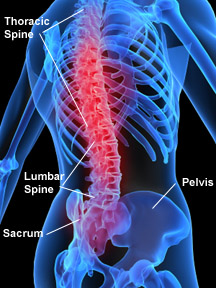 https://www.bouldertherapeutics.com/wp-content/uploads/2011/09/spine_back_pain1.jpg