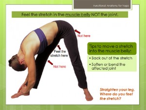 yoga stretch alignment position